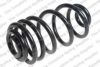 VAUXH 424450 Coil Spring